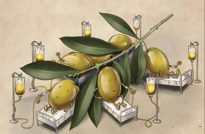 روغن زیتون فرابکر