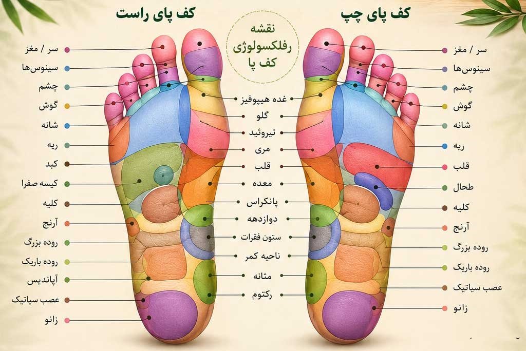 ماساژ کف پا با روغن بنفشه زیتونی