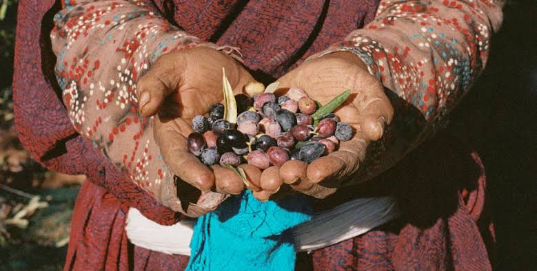 روغن زیتون طارم